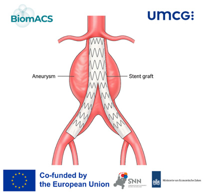 biologically enhanced stent graft