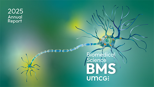 BMS Annual Report 2025