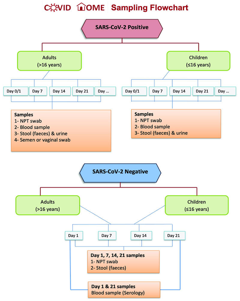 COVID HOME Sampling Flowchart