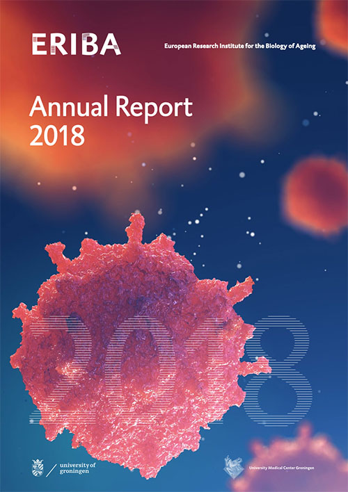 ERIBA Annual Report 2018 cover