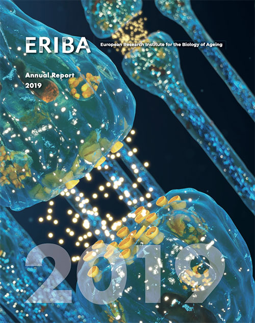 ERIBA Annual Report 2019 cover