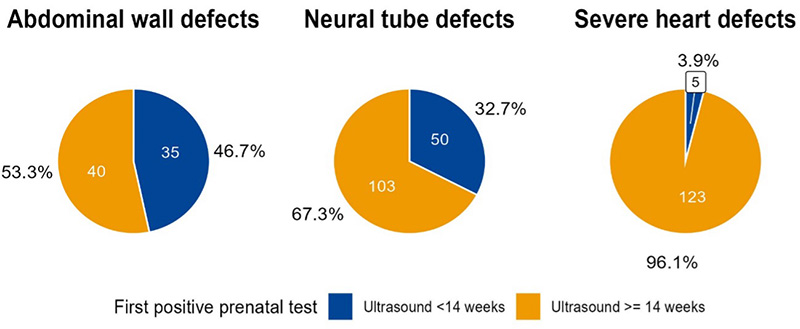 Proportion and frequencies of the type of first prenatal test that detected abdominal wall defects, neural tube defects and severe heart defects, among those diagnosed prenatally