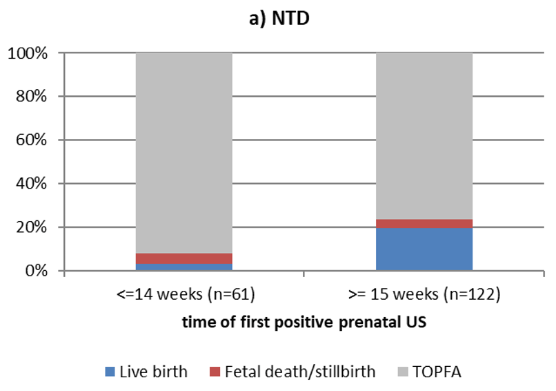 Pregnancy outcome for neural tube defects after the first positive prenatal ultrasound, followed by prenatal diagnosis, Eurocat Northern Netherlands 2010-2022