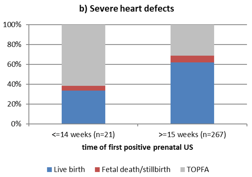 Pregnancy outcome for severe heart defects after the first positive prenatal ultrasound, followed by prenatal diagnosis, Eurocat Northern Netherlands 2010-2022