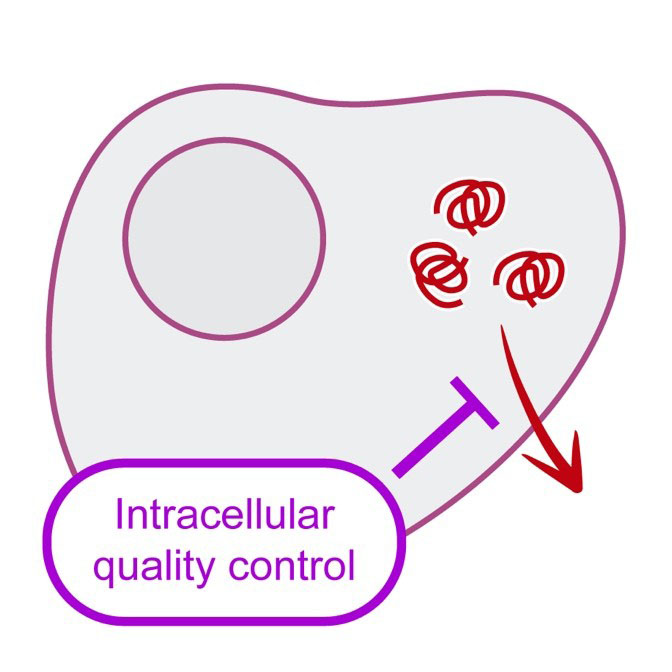 Intracellular Quality Control