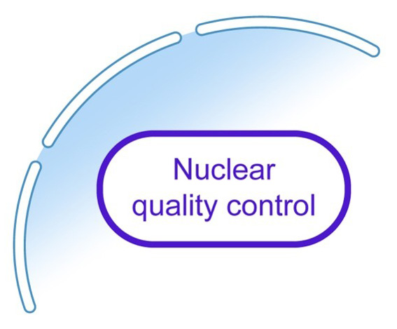 Protein Quality Control
