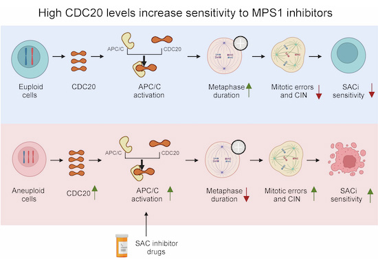 EMBO Reports